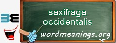 WordMeaning blackboard for saxifraga occidentalis